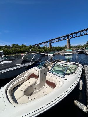 210 Searay photo 3