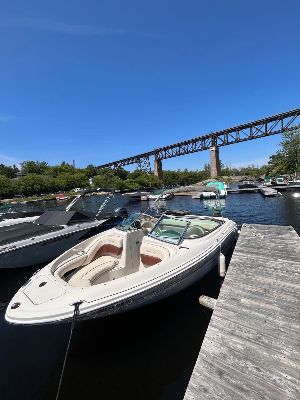 210 Searay photo 4
