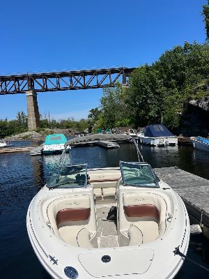 210 Searay photo 6