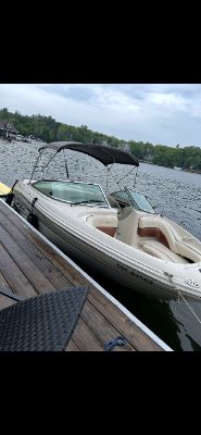 210 Searay photo 9