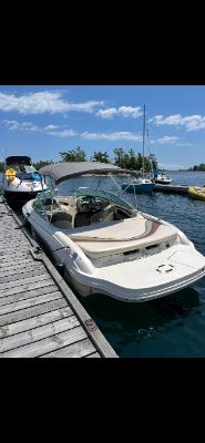 210 Searay photo 10
